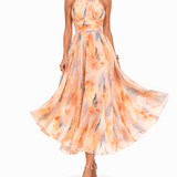 Aurora | Delicacy That Captures Attention