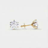 Mary Earrings