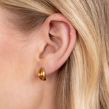 Frieda – Gold earrings with a curved design.